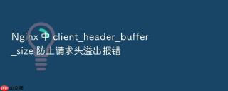 nginx 中 client_header_buffer_size 防止请求头溢出报错