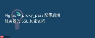 nginx 中 proxy_pass 配置后端服务器的 ssl 加密访问