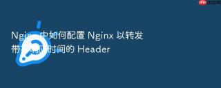 Nginx 中如何配置 Nginx 以转发带有响应时间的 Header