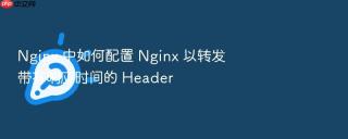 nginx 中如何配置 nginx 以转发带有响应时间的 header