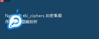 nginx 中 ssl_ciphers 加密集顺序配置的逻辑剖析
