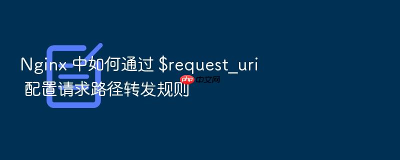 nginx 中如何通过 $request_uri 配置请求路径转发规则