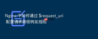 nginx 中如何通过 $request_uri 配置请求路径转发规则