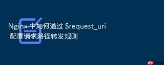 Nginx 中如何通过 $request_uri 配置请求路径转发规则