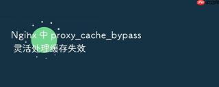 nginx 中 proxy_cache_bypass 灵活处理缓存失效