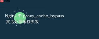 Nginx 中 proxy_cache_bypass 灵活处理缓存失效