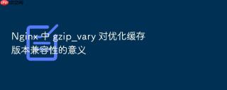 nginx 中 gzip_vary 对优化缓存版本兼容性的意义