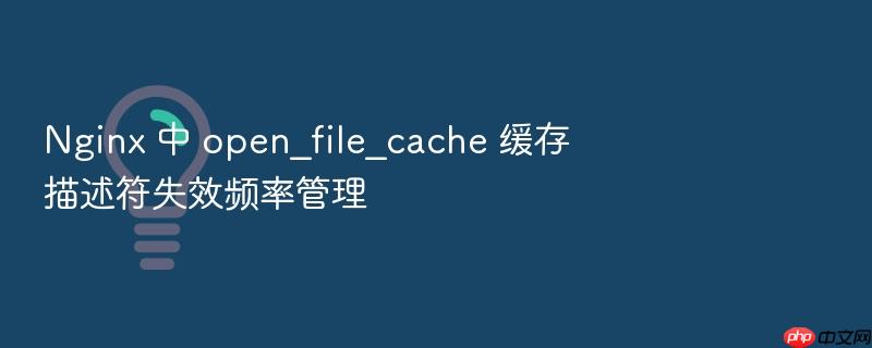nginx 中 open_file_cache 缓存描述符失效频率管理