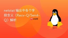 netstat 输出中各个字段含义（recv-q/send-q）解析