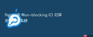 Nginx 中 Non-blocking IO 对异步网络的支持