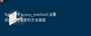 nginx 中 proxy_method 设置反向代理请求的方法类型