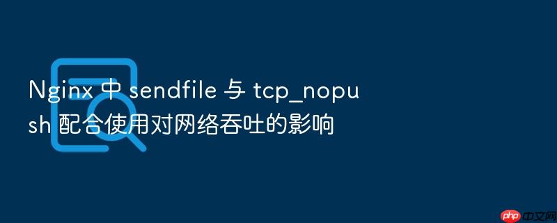 nginx 中 sendfile 与 tcp_nopush 配合使用对网络吞吐的影响