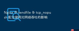 nginx 中 sendfile 与 tcp_nopush 配合使用对网络吞吐的影响