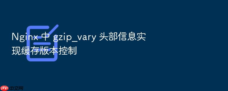 nginx 中 gzip_vary 头部信息实现缓存版本控制