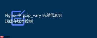 nginx 中 gzip_vary 头部信息实现缓存版本控制