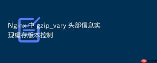 Nginx 中 gzip_vary 头部信息实现缓存版本控制