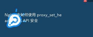 nginx 中如何使用 proxy_set_header 优化 api 安全