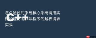 怎么通过对系统核心系统调用实施监控防范非法程序的越权请求实战