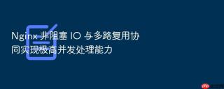 Nginx 非阻塞 IO 与多路复用协同实现极高并发处理能力