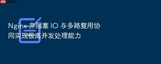 nginx 非阻塞 io 与多路复用协同实现极高并发处理能力