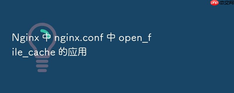 nginx 中 nginx.conf 中 open_file_cache 的应用