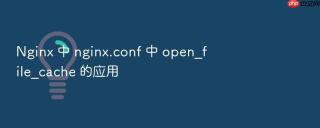 nginx 中 nginx.conf 中 open_file_cache 的应用