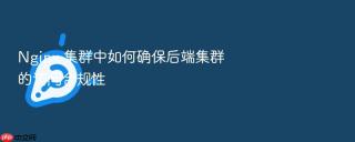 nginx 集群中如何确保后端集群的访问合规性