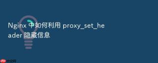 nginx 中如何利用 proxy_set_header 隐藏信息