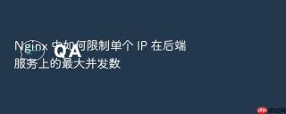 nginx 中如何限制单个 ip 在后端服务上的最大并发数