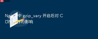 Nginx 中 gzip_vary 开启后对 CDN 缓存的影响