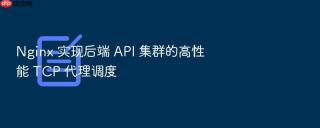 nginx 实现后端 api 集群的高性能 tcp 代理调度