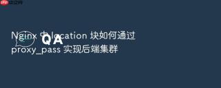 Nginx 中 location 块如何通过 proxy_pass 实现后端集群