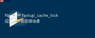 nginx 中 fastcgi_cache_lock 应对高并发回源场景
