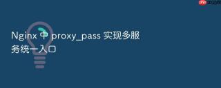 Nginx 中 proxy_pass 实现多服务统一入口