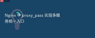 nginx 中 proxy_pass 实现多服务统一入口
