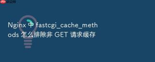 nginx 中 fastcgi_cache_methods 怎么排除非 get 请求缓存