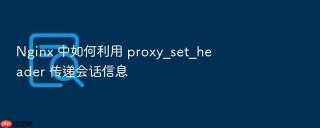 Nginx 中如何利用 proxy_set_header 传递会话信息