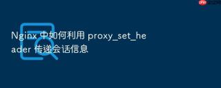 nginx 中如何利用 proxy_set_header 传递会话信息
