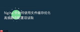 Nginx 中如何使用文件缓存优化高频静态配置项读取