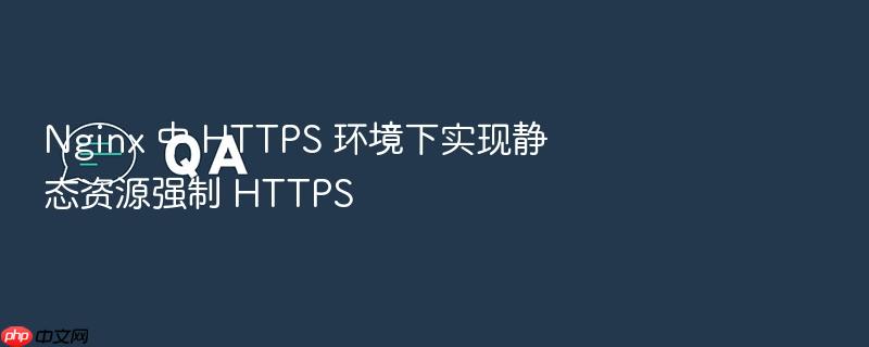 nginx 中 https 环境下实现静态资源强制 https