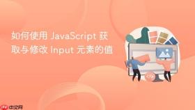 如何使用 javascript 获取与修改 input 元素的值