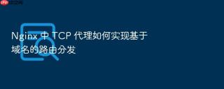 nginx 中 tcp 代理如何实现基于域名的路由分发