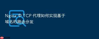 Nginx 中 TCP 代理如何实现基于域名的路由分发