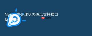 nginx 中处理状态码以支持接口降级方案