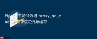 nginx 中如何通过 proxy_no_cache 禁用特定资源缓存