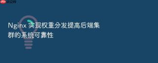 Nginx 实现权重分发提高后端集群的系统可靠性