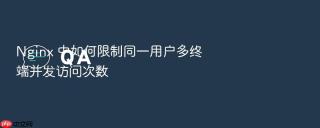Nginx 中如何限制同一用户多终端并发访问次数