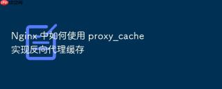 Nginx 中如何使用 proxy_cache 实现反向代理缓存