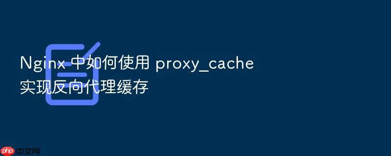 nginx 中如何使用 proxy_cache 实现反向代理缓存