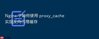 nginx 中如何使用 proxy_cache 实现反向代理缓存
